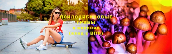 spice Дмитров