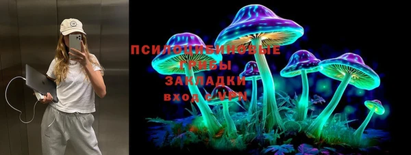 spice Дмитров