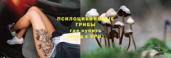 спиды Дмитриев