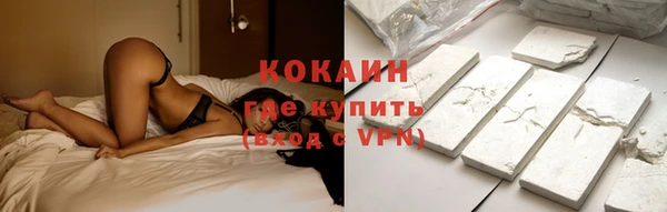 спиды Дмитриев