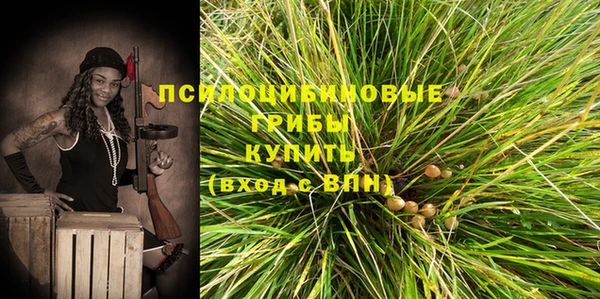 спиды Дмитриев
