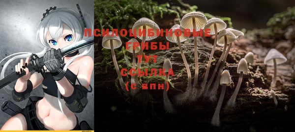 не бодяженный Дмитровск