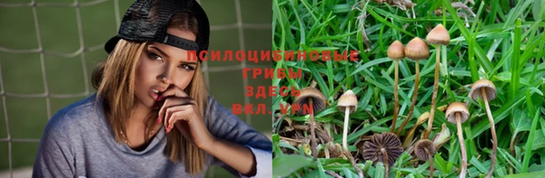 не бодяженный Дмитровск