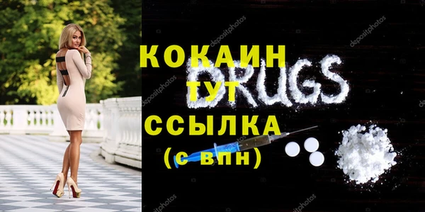 спиды Дмитриев