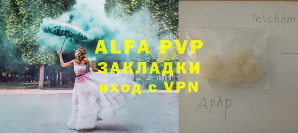 спиды Дмитриев