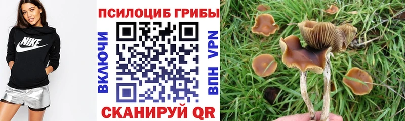 даркнет сайт  Себеж  Псилоцибиновые грибы мухоморы 
